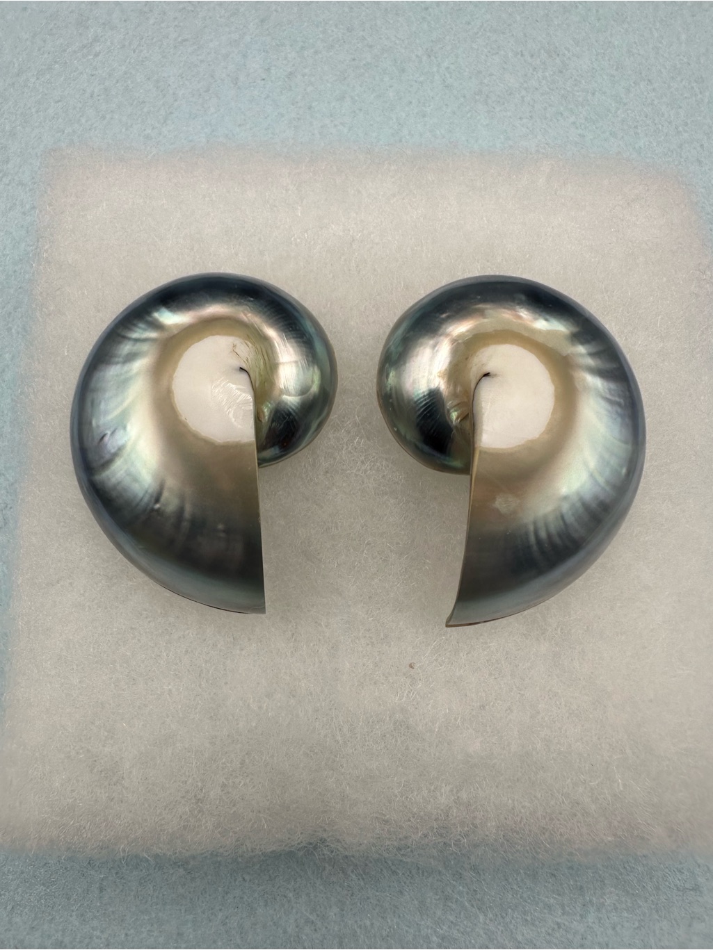 Nautilus Shell Half-Cut Earrings 1.5", Iridescent Osmea Pearl, Pierced, Drama